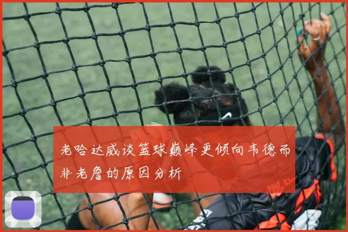 老哈达威谈篮球巅峰更倾向韦德而非老詹的原因分析