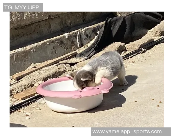 法比奥社媒分享甜蜜瞬间你最喜欢的照片是哪一张呢