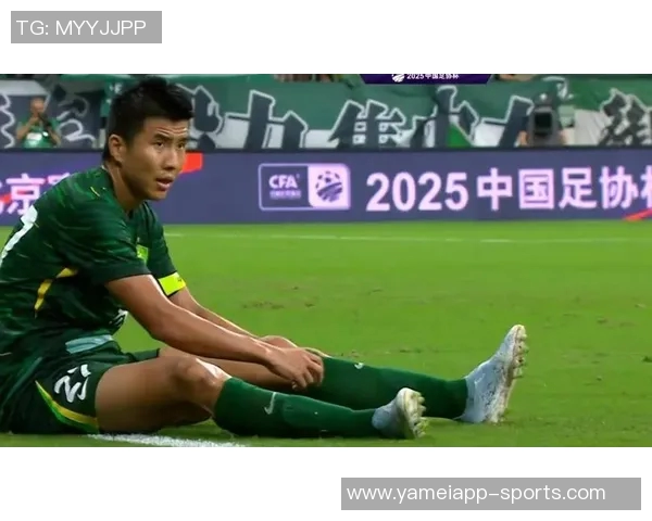 国安续约老将王刚和池忠国36岁球员继续为球队贡献力量